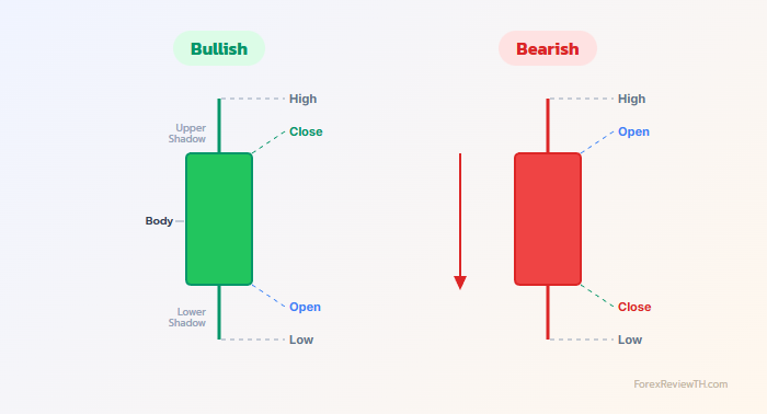 ส่วนประกอบแท่งเทียน Bullish (เขียว) และ Bearish (แดง) แสดง Open Close High Low Body และ Shadow